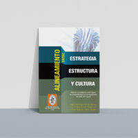 alineamiento_estrategia_estructura_cultura Alineamiento entre estrategia, estructura y cultura: Nuevos paradigmas para lograr la competitividad en los superetes del Valle del Cauca