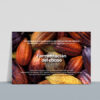 Fermentación del cacao