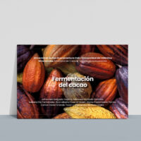 Fermentación del cacao