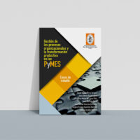 Gestión de los procesos organizacionales y la transformación productiva en las pymes