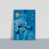 Manual de prácticas de Química Orgánica Aplicada II