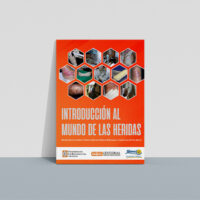 mundo_heridas Introducción al mundo de las heridas