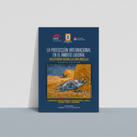 proteccion_internacional_ambito_laboral La protección internacional en el ámbito laboral: Un estudio desde las dos orillas