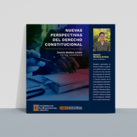 Nuevas perspectivas del derecho constitucional