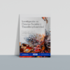 Investigación en Ciencias Sociales y Transdisciplinariedad